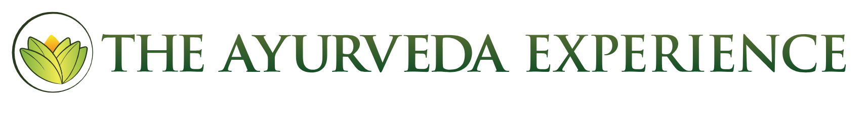 ayurveda experience